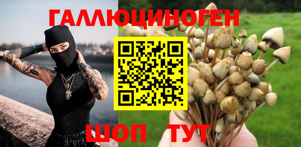 Галлюциногенные грибы Psilocybine cubensis  Галлюциногенные грибы MAGIC MUSHROOMS  Вход с VPN  Нурлат 
