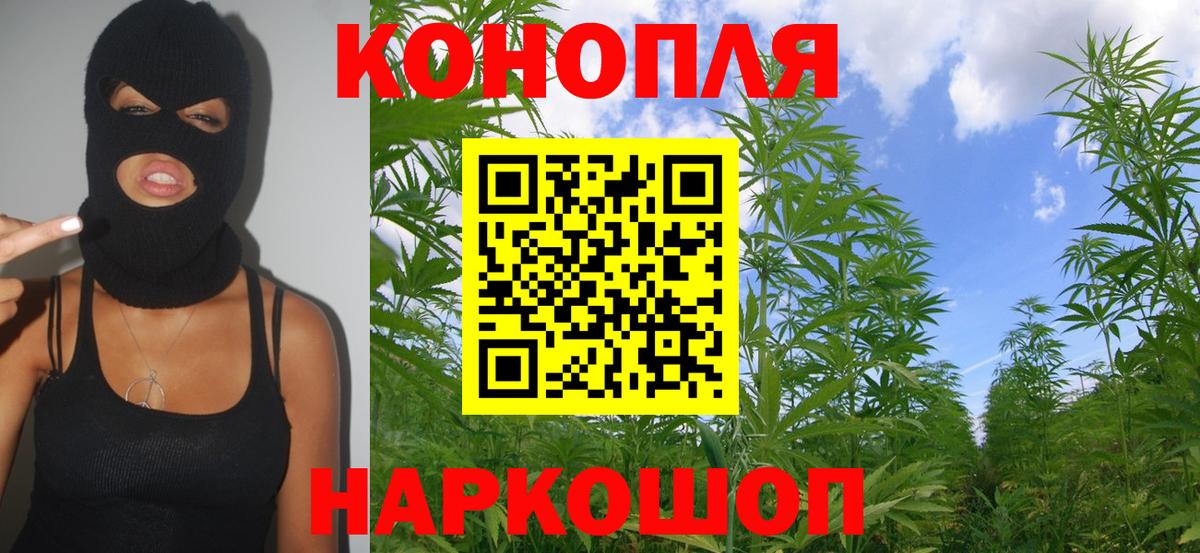 Каннабис сатива  Вход с VPN  Каннабис Amnesia  Нурлат  Конопля MAZAR 